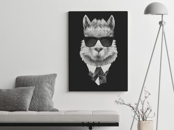 Image d'un lama en chemise – Image 3