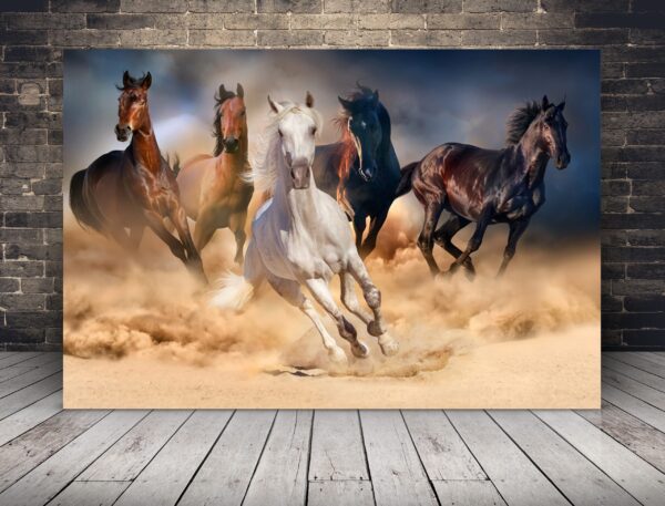 Image de chevaux qui courent
