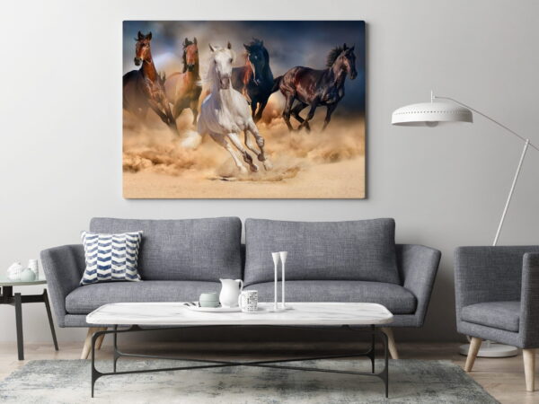 Image de chevaux qui courent – Image 3