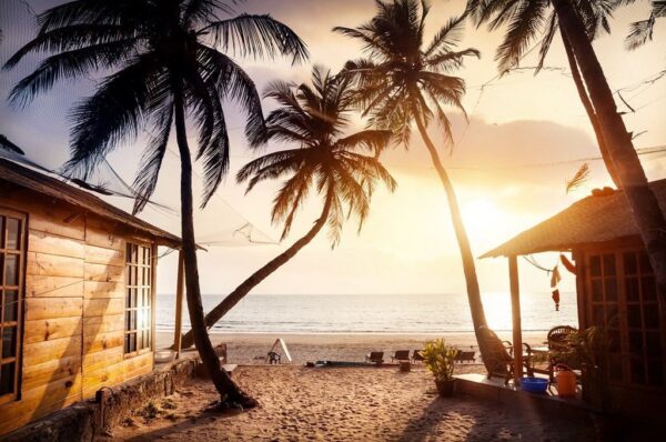 Une image de palmiers sur la plage – Image 2