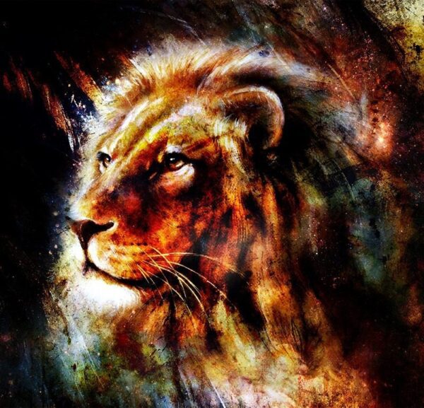 Une image d'un portrait d'un lion – Image 2