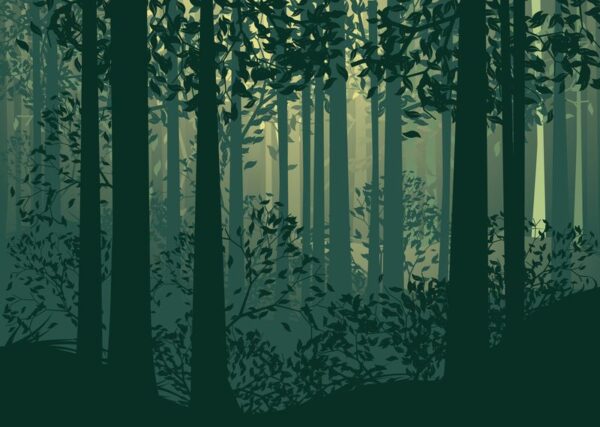 Image de la forêt mystérieuse – Image 2
