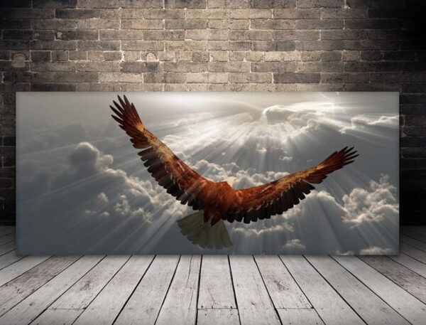 Image d'un aigle en vol