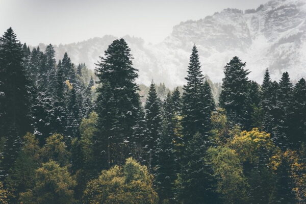 Image d'automne de montagne – Image 2