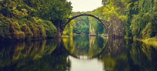 Une image d'une rivière au milieu de la forêt – Image 2