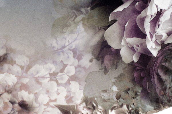 Une image d'une fleur de soie – Image 2