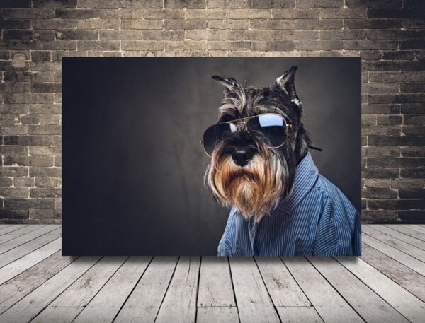 Image de chien cool