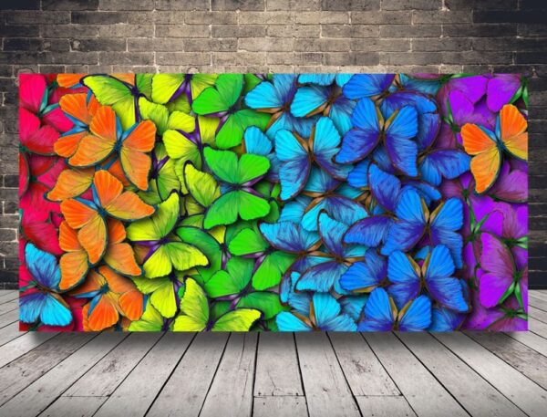 Une image de papillons arc-en-ciel
