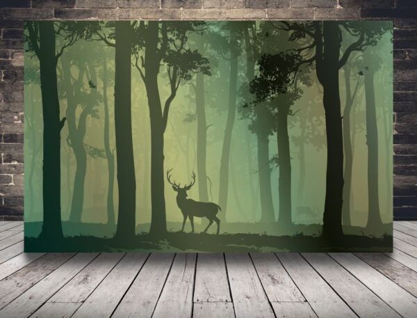 Image de la forêt mystérieuse