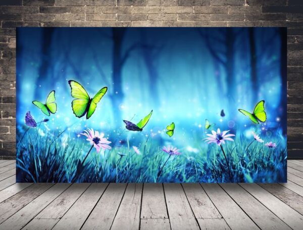L'image des papillons