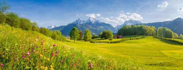Image Vue dans les Alpes – Image 2