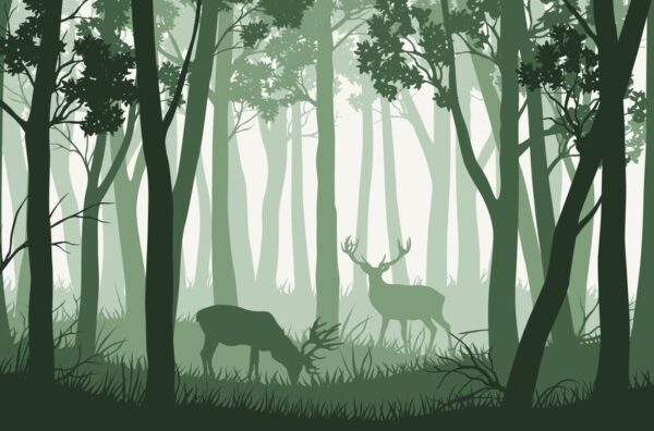 Une image d'une forêt verte – Image 2