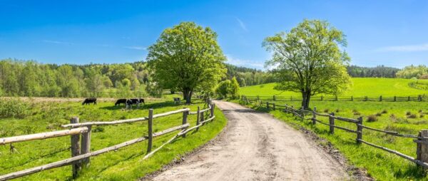 Image de paysage rural – Image 2