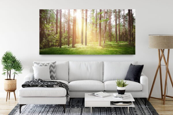 Une image du soleil dans la forêt – Image 3