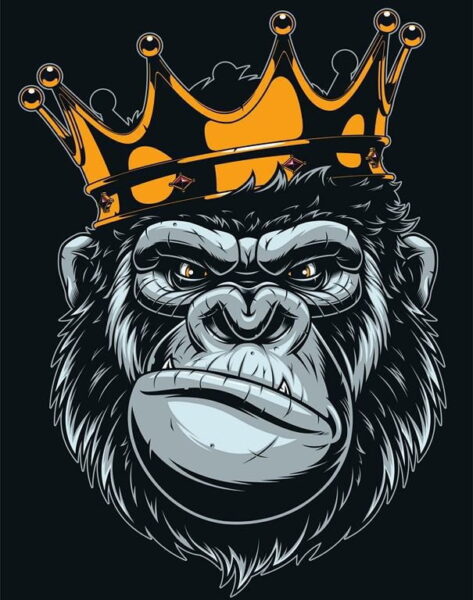 L'image d'un singe dans la couronne – Image 2