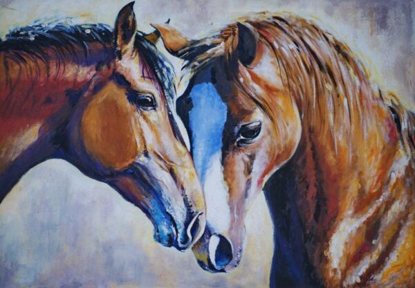 Images de chevaux – Image 2