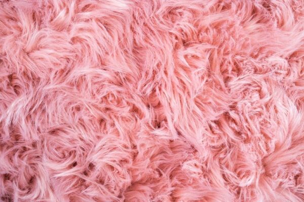 Image couleur rose – Image 2