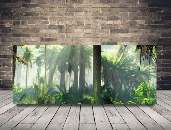 Image Jungle dans la brume