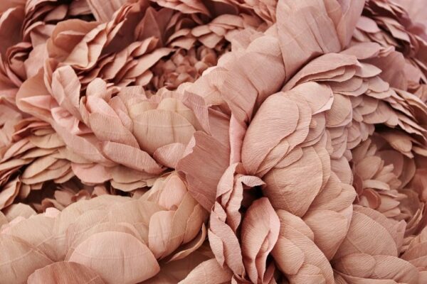Image de fleurs en papier – Image 2