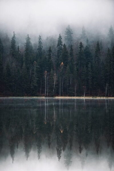 Une image d'un lac sombre – Image 2