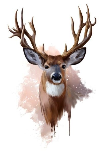 Une image d'un cerf avec des bois – Image 2
