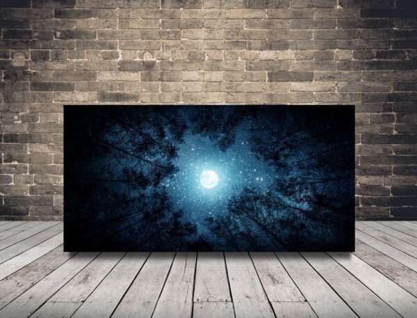 Une image de la lune parmi les arbres