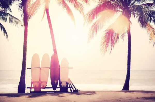 Image de surf d'été – Image 2