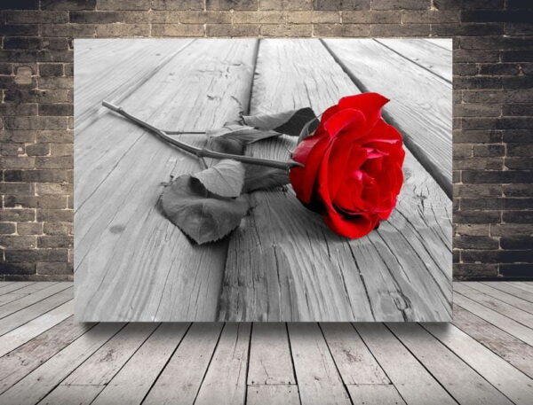 L'image d'une rose sur bois