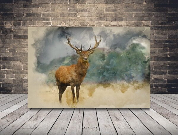 Image délicate de cerf