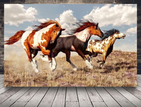 Image de chevaux qui courent
