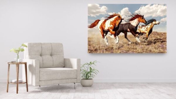 Image de chevaux qui courent – Image 3