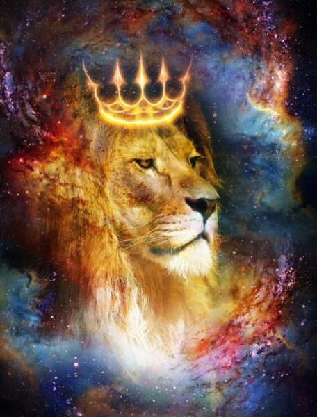 L'image du Roi Lion – Image 2