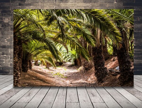 Une image d'un palmier sur la plage