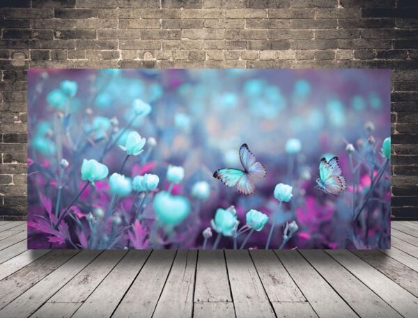 L'image des papillons dans le pré