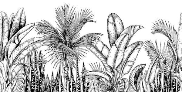 L'image des palmiers dessinés – Image 2