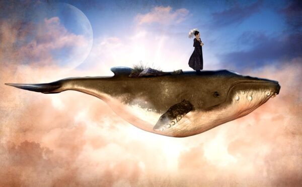 Une image d'une femme chevauchant une baleine – Image 2