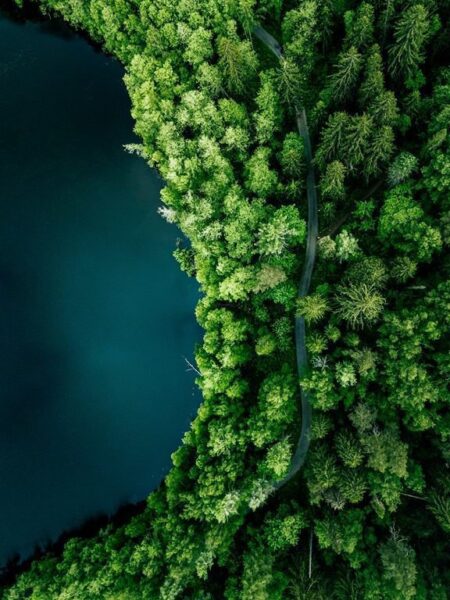 Une image d'une route forestière au bord du lac – Image 2