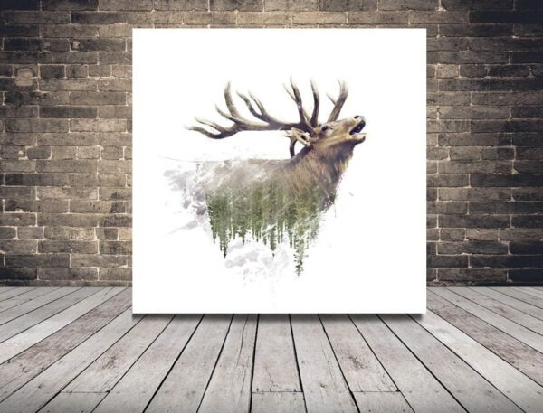 Une image d'un cerf sauvage