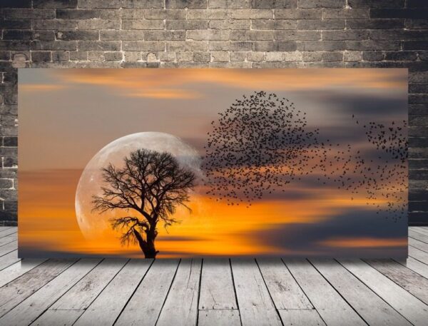 Image D'un Arbre Sur Un Fond De Soleil.