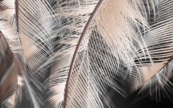 Image d'une plume en gris – Image 2