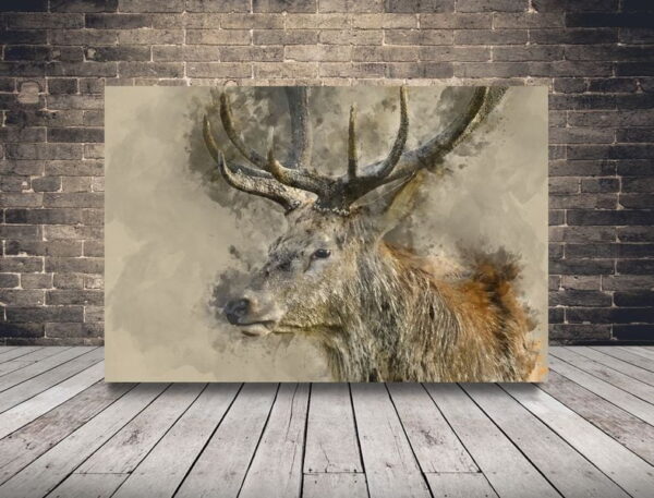 Image d'un cerf