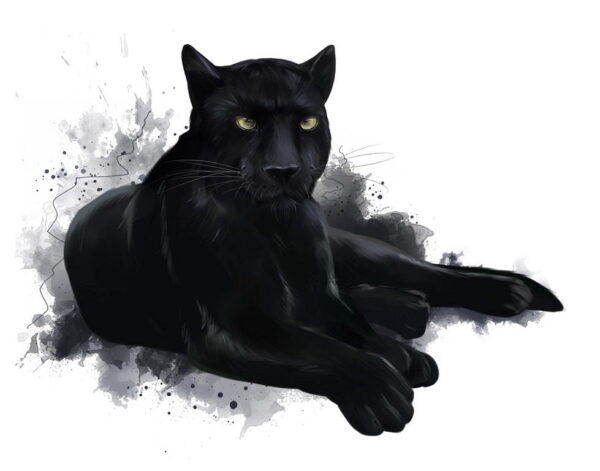 Image Puma noir – Image 2