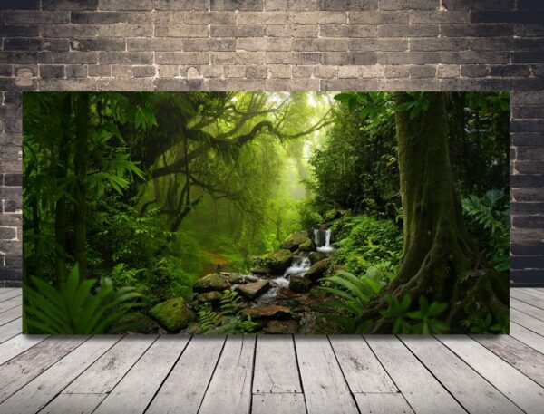 Une image des forêts tropicales d'Asie