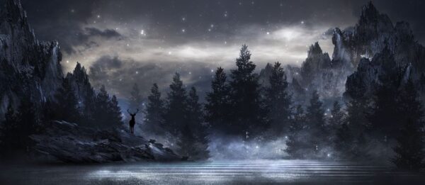 Photo d'un paysage de montagne la nuit – Image 2