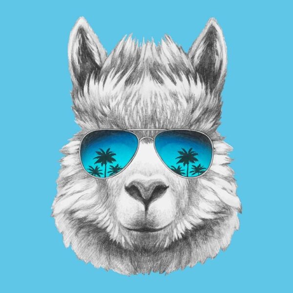 Image de Lama avec des lunettes – Image 2