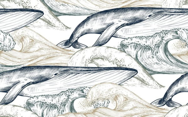 Une image d'une baleine – Image 2