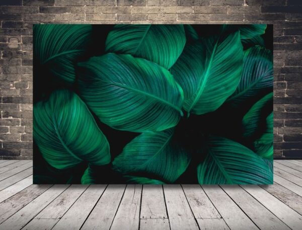 Une image de feuilles tropicales