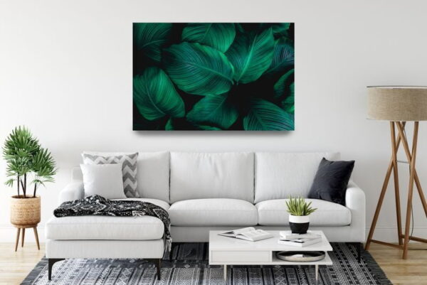 Une image de feuilles tropicales – Image 3