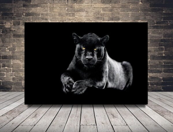 image panthère noire
