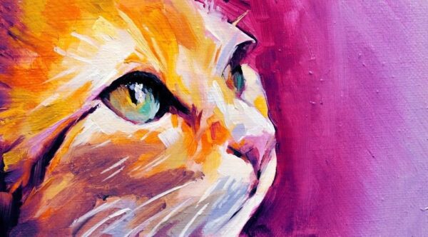 Une image d'un chat sur un fond rose – Image 2